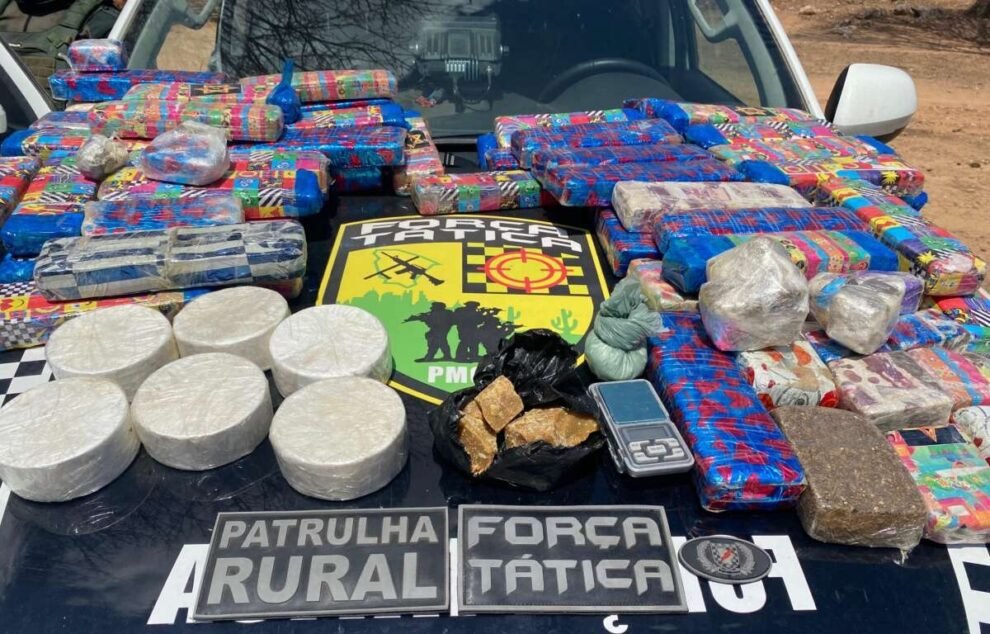 policia-militar-encontra-42-kg-de-drogas-enterradas-em-area-de-mata-em-sobral,-no-ceara