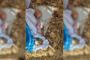 imagem-de-nossa-senhora-e-vandalizada-em-presepio-de-caninde,-no-ceara