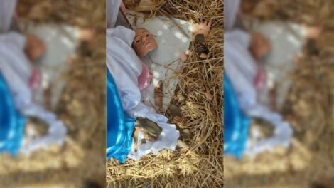imagem-de-nossa-senhora-e-vandalizada-em-presepio-de-caninde,-no-ceara