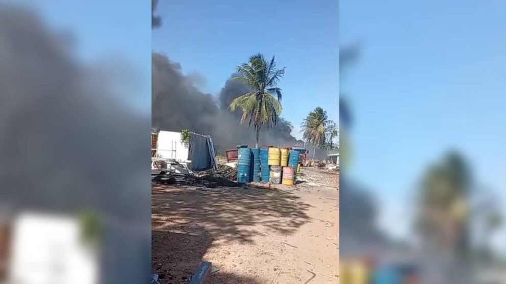 homem-causa-incendio-em-sucata-ao-tentar-espantar-enxame-de-abelhas-em-fortaleza