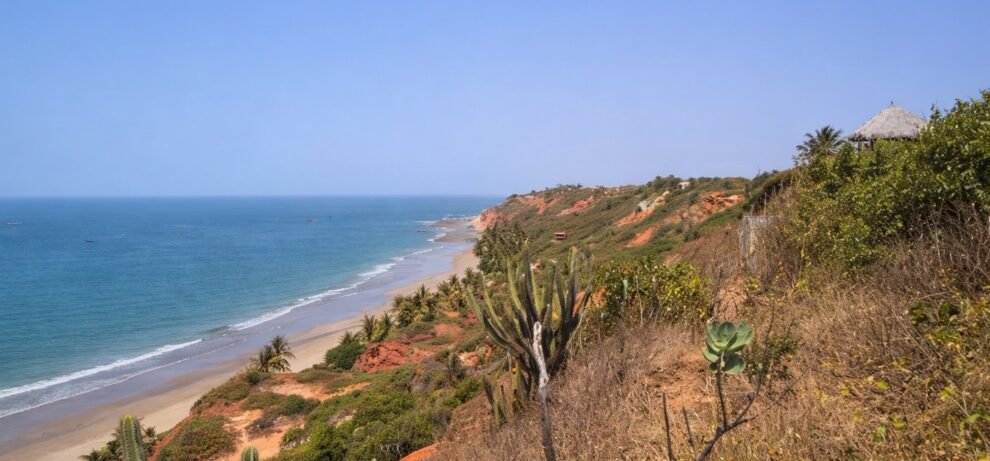 estudo-da-semace-indica-aumento-na-ocupacao-irregular-de-areas-protegidas-em-icapui,-no-ceara