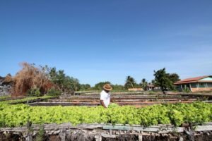 credito-fundiario-do-banco-do-nordeste-cresce-219%-e-beneficia-mais-de-800-familias-no-campo
