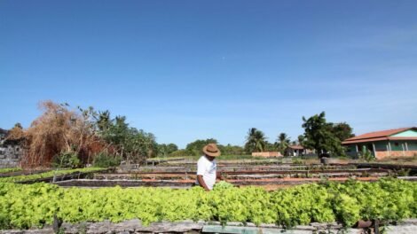 credito-fundiario-do-banco-do-nordeste-cresce-219%-e-beneficia-mais-de-800-familias-no-campo