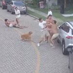 briga-entre-jogadores-do-fortaleza-e-vizinhos-em-condominio-de-luxo:-o-que-se-sabe-sobre-o-caso