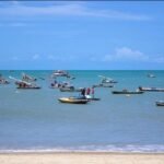 entenda-como-funcionam-as-regras-do-periodo-de-defeso-do-caranguejo-uca-e-da-lagosta