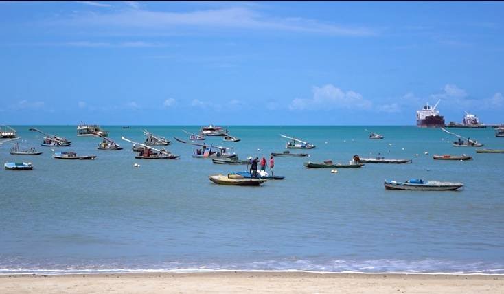 entenda-como-funcionam-as-regras-do-periodo-de-defeso-do-caranguejo-uca-e-da-lagosta