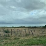 ceara-vive-a-pior-pre-estacao-desde-1982;-projecoes-para-a-quadra-chuvosa-preocupam