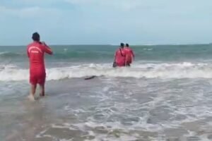 praticante-de-kitesurf-e-encontrado-morto-na-praia-da-baleia,-no-ceara