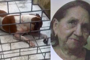 idosa-de-80-anos-morre-apos-cair-em-casa-e-ser-atacada-pelo-cachorro-da-familia,-em-fortaleza