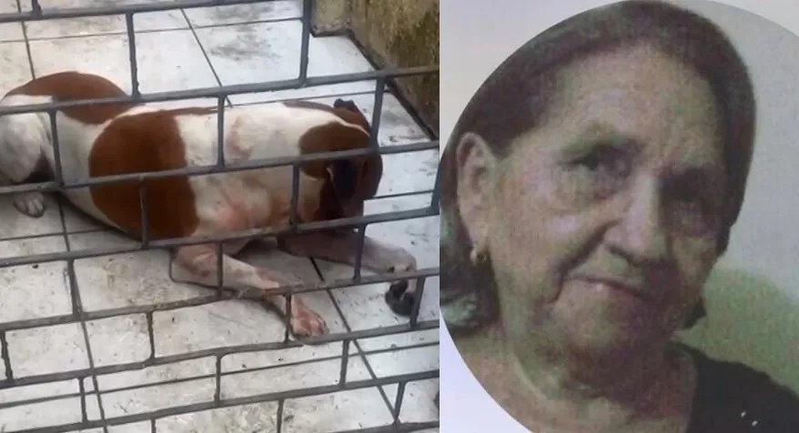 idosa-de-80-anos-morre-apos-cair-em-casa-e-ser-atacada-pelo-cachorro-da-familia,-em-fortaleza