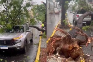 arvore-cai-em-carro-na-avenida-heraclito-graca,-em-fortaleza,-durante-fortes-chuvas