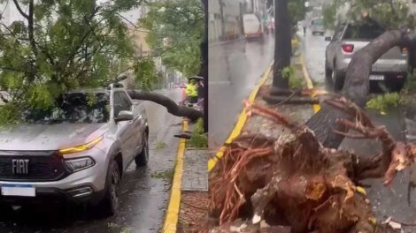 arvore-cai-em-carro-na-avenida-heraclito-graca,-em-fortaleza,-durante-fortes-chuvas