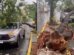 arvore-cai-em-carro-na-avenida-heraclito-graca,-em-fortaleza,-durante-fortes-chuvas