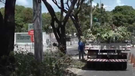 queda-de-arvore-derruba-muro-e-poste-no-genibau-durante-fortes-chuvas-em-fortaleza