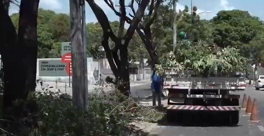 queda-de-arvore-derruba-muro-e-poste-no-genibau-durante-fortes-chuvas-em-fortaleza