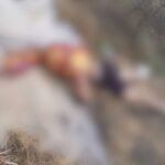 corpo-de-homem-e-encontrado-na-rua-em-maracanau,-no-ceara;-vitima-foi-morta-a-tiros