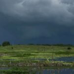ceara-tem-chuva-em-mais-de-130-municipios-pelo-terceiro-dia-seguido