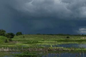ceara-tem-chuva-em-mais-de-130-municipios-pelo-terceiro-dia-seguido