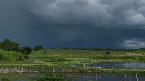 ceara-tem-chuva-em-mais-de-130-municipios-pelo-terceiro-dia-seguido
