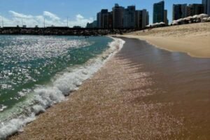 apos-chuvas,-somente-oito-praias-de-fortaleza-estao-proprias-para-banho-no-fim-de-semana;-entenda