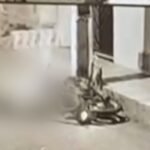 motociclista-fica-gravemente-ferido-apos-bater-em-poste-em-novo-oriente,-no-ceara;-veja-o-video