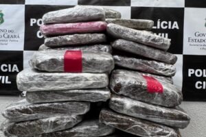 policia-civil-apreende-49-quilos-de-maconha-em-casa-abandonada-na-cidade-de-eusebio