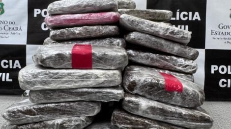 policia-civil-apreende-49-quilos-de-maconha-em-casa-abandonada-na-cidade-de-eusebio