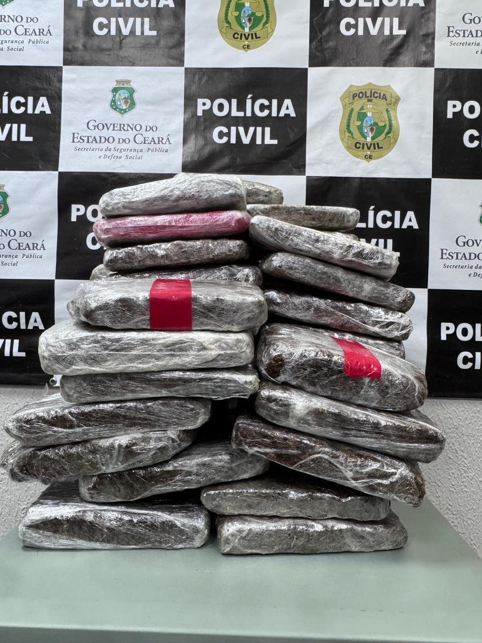 policia-civil-apreende-49-quilos-de-maconha-em-casa-abandonada-na-cidade-de-eusebio