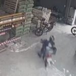 condutor-perde-o-controle-da-moto-e-sobrevive-ao-bater-em-sacas-de-cimento,-no-ceara