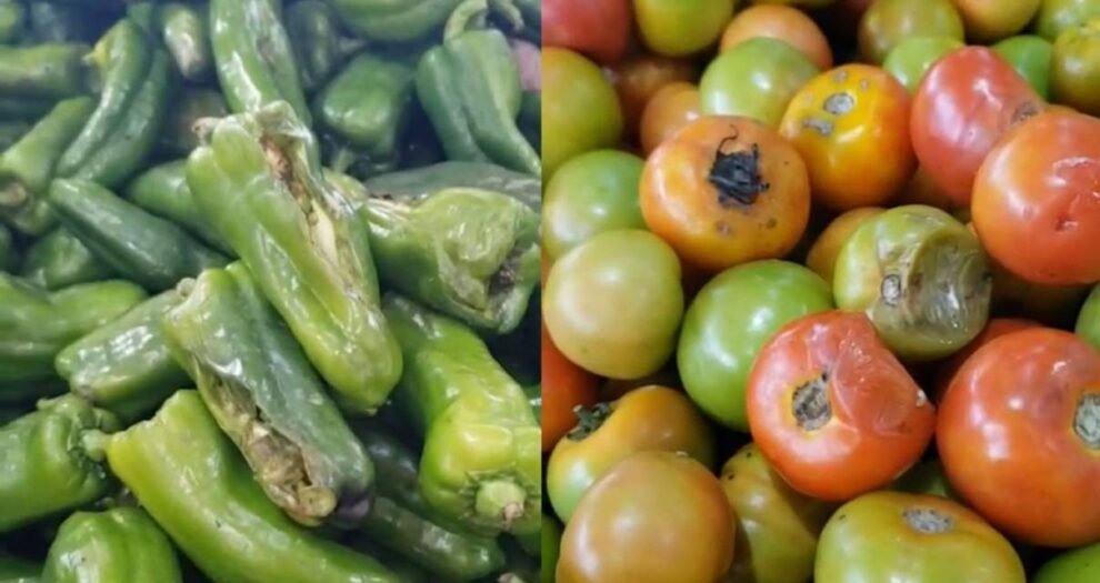 procon-notifica-rede-de-supermercados-de-fortaleza-apos-novas-denuncias-de-alimentos-estragados