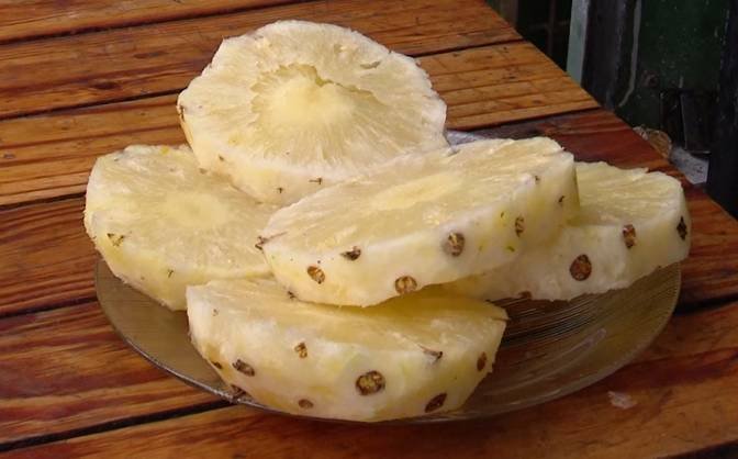 cultivo-de-abacaxi-com-irrigacao-cresce-no-ceara-e-ajuda-a-diversificar-a-producao