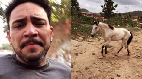 cavalo-percorre-20-km-para-voltar-ao-antigo-dono-apos-ser-vendido-no-ceara