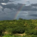 ceara-registra-mais-de-80-municipios-com-chuva-no-segundo-dia-de-carnaval