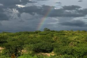 ceara-registra-mais-de-80-municipios-com-chuva-no-segundo-dia-de-carnaval