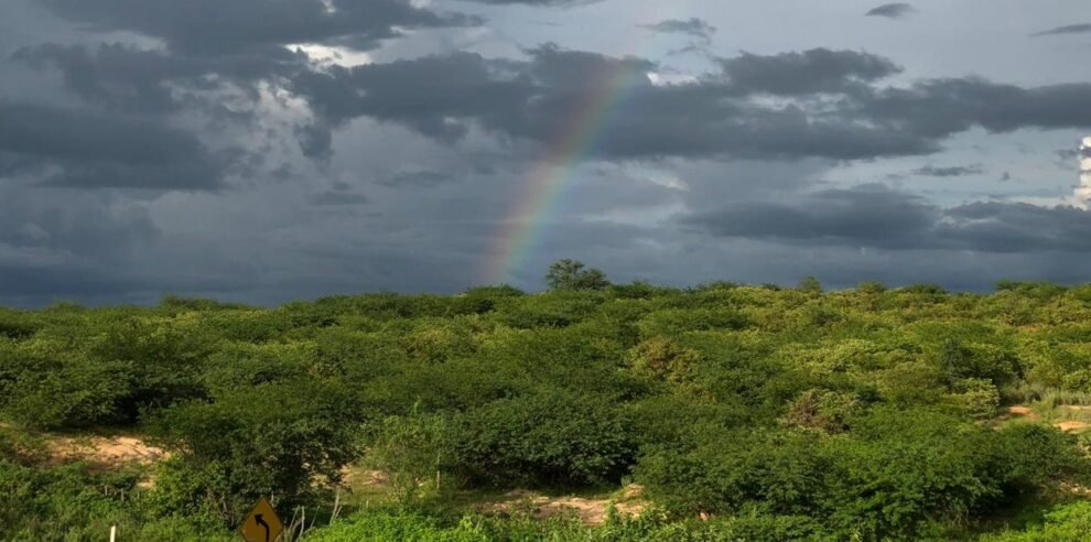 ceara-registra-mais-de-80-municipios-com-chuva-no-segundo-dia-de-carnaval