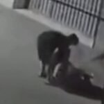 camera-flagra-mulher-sendo-agredida-pelo-companheiro-em-rua-de-fortaleza
