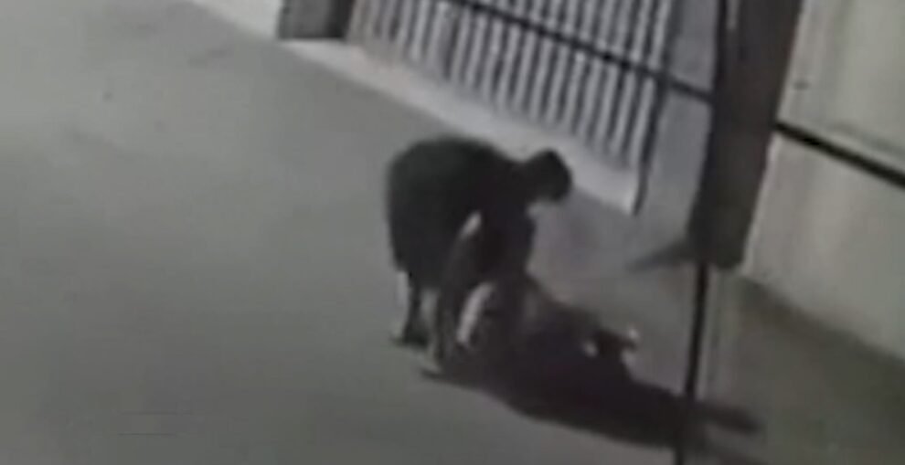 camera-flagra-mulher-sendo-agredida-pelo-companheiro-em-rua-de-fortaleza