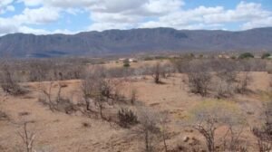 monitor-das-secas:-68-cidades-do-ceara-voltam-a-registrar-seca-extrema