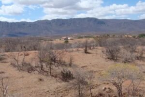 monitor-das-secas:-68-cidades-do-ceara-voltam-a-registrar-seca-extrema