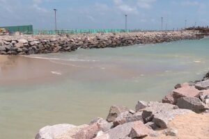 manchas-escuras-e-peixes-mortos-sao-registrados-por-frequentadores-da-orla-de-fortaleza