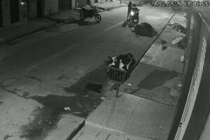 instrutor-de-academia-tem-moto-furtada-durante-a-madrugada-em-maracanau