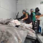 operacao-apreende-400-kg-de-pescados-irregulares-em-fortaleza