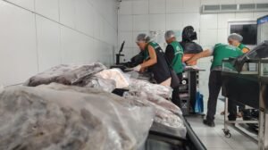 operacao-apreende-400-kg-de-pescados-irregulares-em-fortaleza