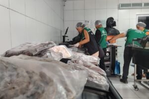 operacao-apreende-400-kg-de-pescados-irregulares-em-fortaleza
