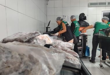 operacao-apreende-400-kg-de-pescados-irregulares-em-fortaleza