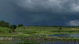 ceara-registra-mais-de-80-municipios-com-chuvas-nas-ultimas-24-horas;-confira-os-destaques