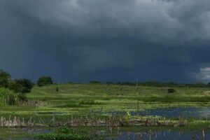 ceara-registra-mais-de-80-municipios-com-chuvas-nas-ultimas-24-horas;-confira-os-destaques