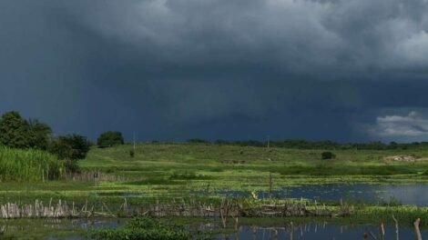 ceara-registra-mais-de-80-municipios-com-chuvas-nas-ultimas-24-horas;-confira-os-destaques