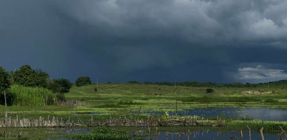 ceara-registra-mais-de-80-municipios-com-chuvas-nas-ultimas-24-horas;-confira-os-destaques