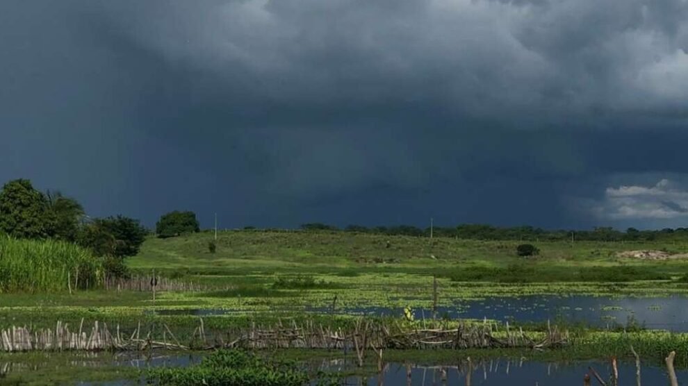 ceara-registra-mais-de-80-municipios-com-chuvas-nas-ultimas-24-horas;-confira-os-destaques